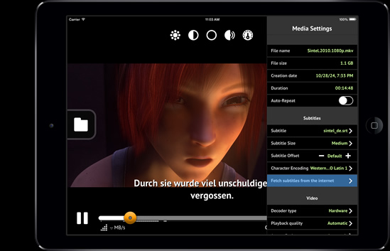 Subtitles